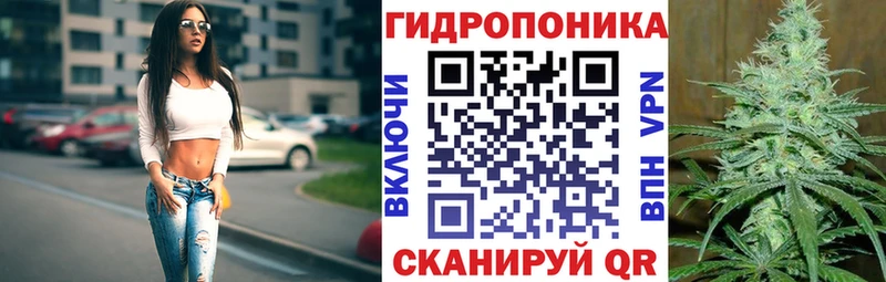 кракен рабочий сайт  цена   Петровск-Забайкальский  Каннабис индика 